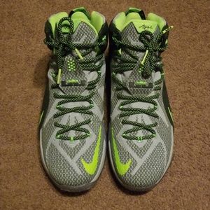 Lebron 12 Dunkman